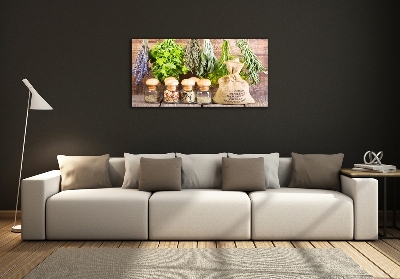 Quadro su vetro Erbe aromatiche su un filo