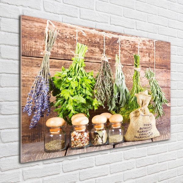 Quadro su vetro Erbe aromatiche su un filo
