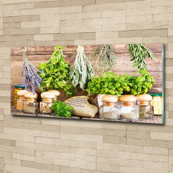 Quadro su vetro Erbe aromatiche su un filo