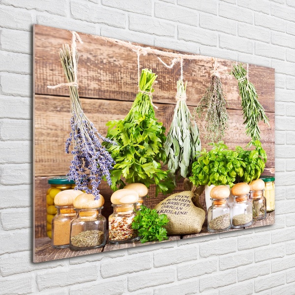 Quadro su vetro Erbe aromatiche su un filo