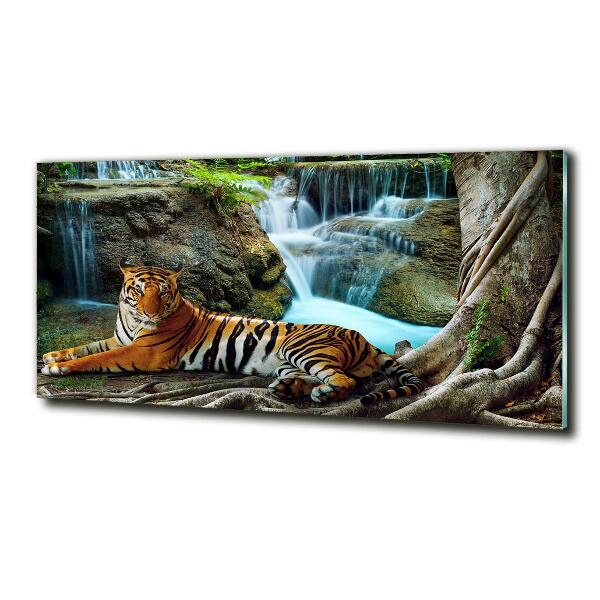 Quadro in vetro Cascata della Tigre
