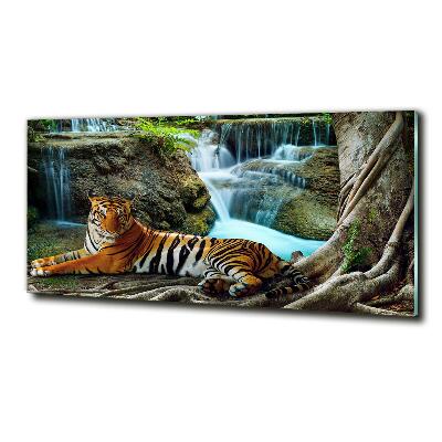Quadro in vetro Cascata della Tigre