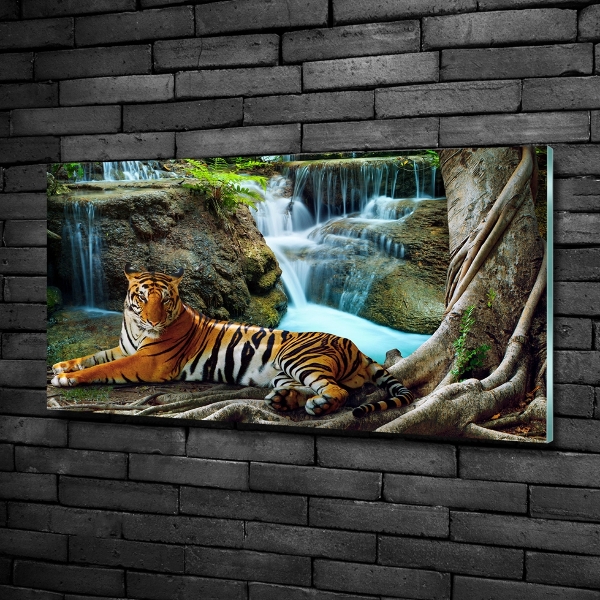 Quadro in vetro Cascata della Tigre