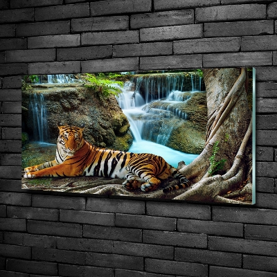 Quadro in vetro Cascata della Tigre