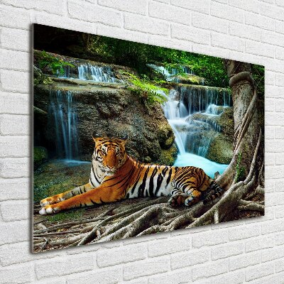 Quadro in vetro Cascata della Tigre