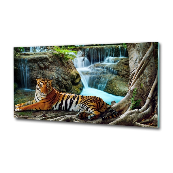 Quadro in vetro Cascata della Tigre