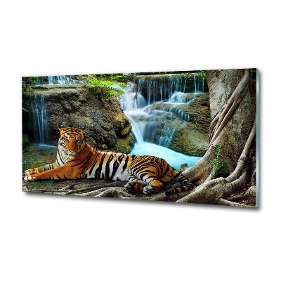 Quadro in vetro Cascata della Tigre