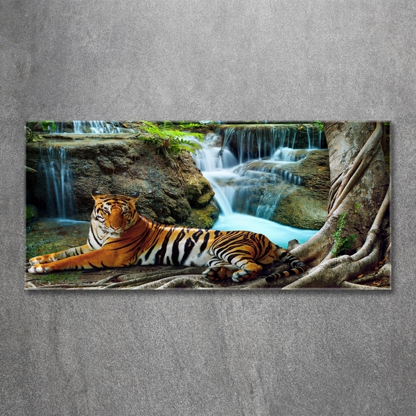 Quadro in vetro Cascata della Tigre