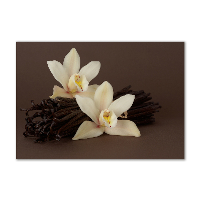 Quadro vetro Baccelli di vaniglia