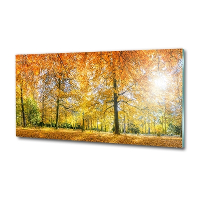 Quadro vetro Foresta in autunno