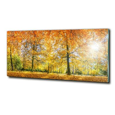 Quadro vetro Foresta in autunno
