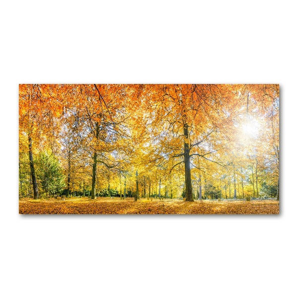Quadro vetro Foresta in autunno