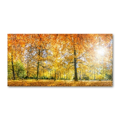 Quadro vetro Foresta in autunno