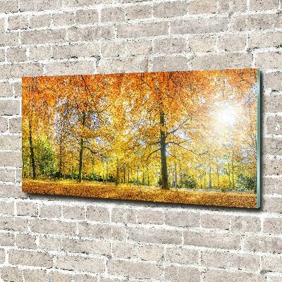 Quadro vetro Foresta in autunno