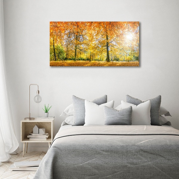 Quadro vetro Foresta in autunno