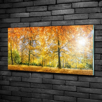 Quadro vetro Foresta in autunno