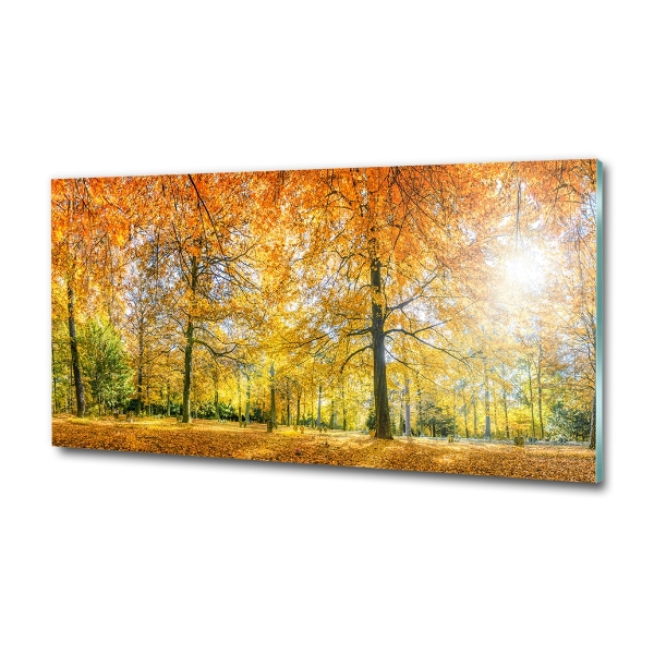Quadro vetro Foresta in autunno
