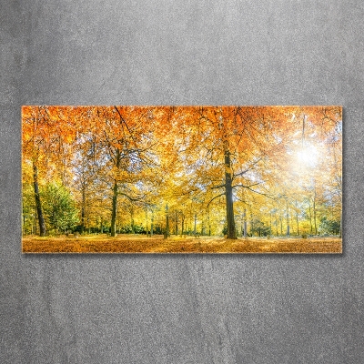 Quadro vetro Foresta in autunno