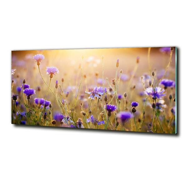 Quadro su vetro Fiori selvatici