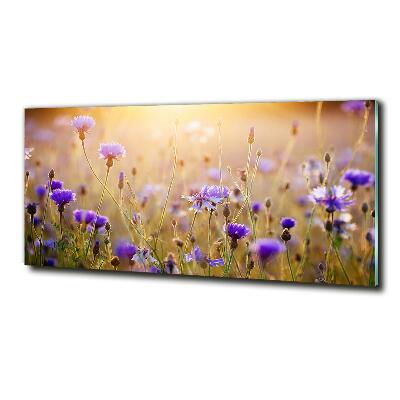 Quadro su vetro Fiori selvatici