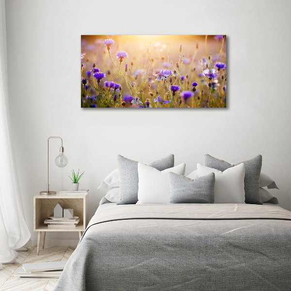 Quadro su vetro Fiori selvatici