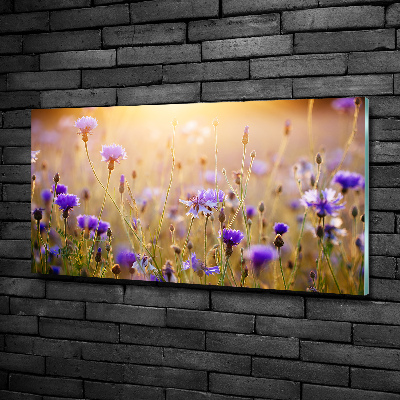 Quadro su vetro Fiori selvatici