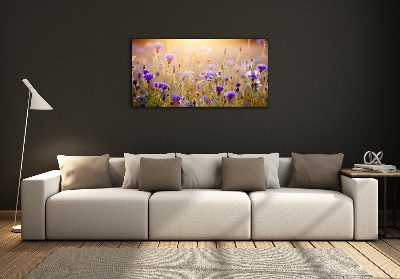 Quadro su vetro Fiori selvatici