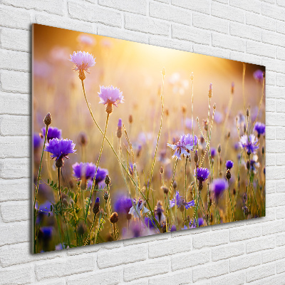 Quadro su vetro Fiori selvatici