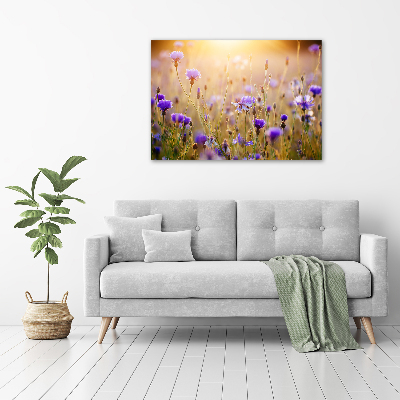 Quadro su vetro Fiori selvatici