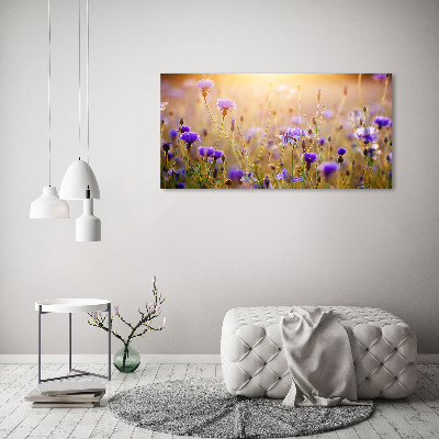 Quadro su vetro Fiori selvatici