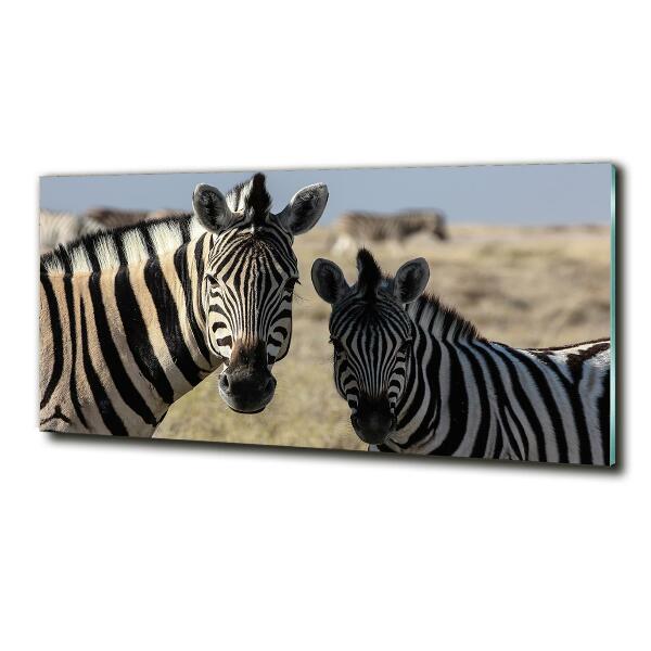 Quadro in verde Due zebre