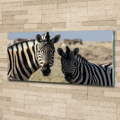 Quadro in verde Due zebre