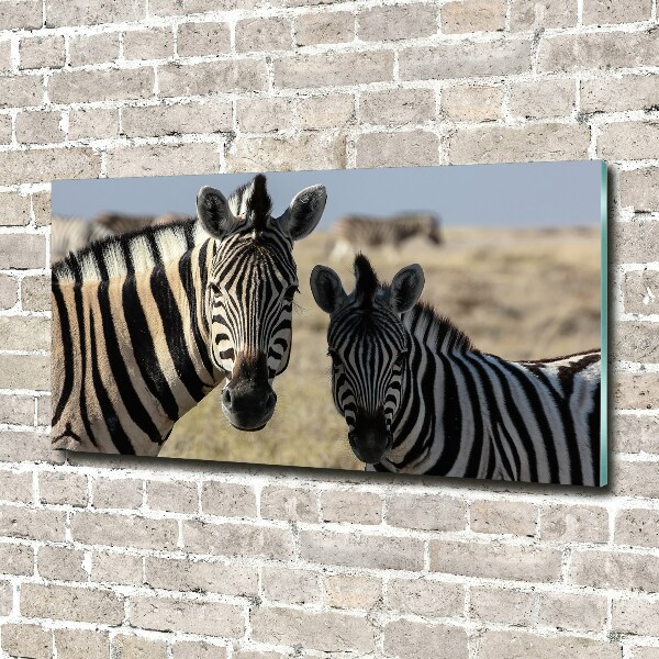 Quadro in verde Due zebre