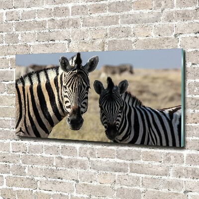 Quadro in verde Due zebre