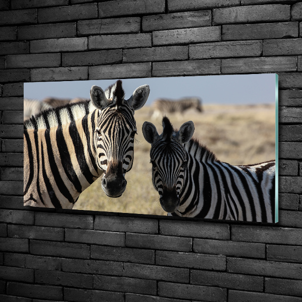 Quadro in verde Due zebre