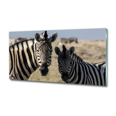 Quadro in verde Due zebre