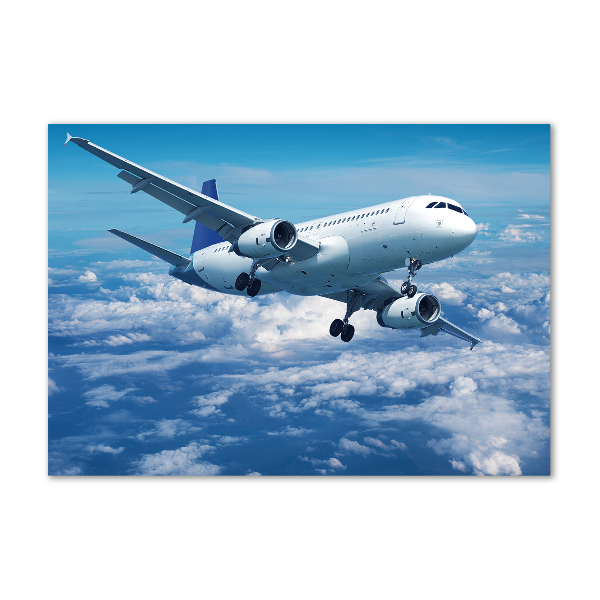 Quadro su vetro Un aereo tra le nuvole