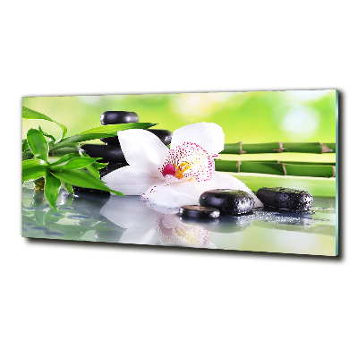 Quadro su vetro Orchidea