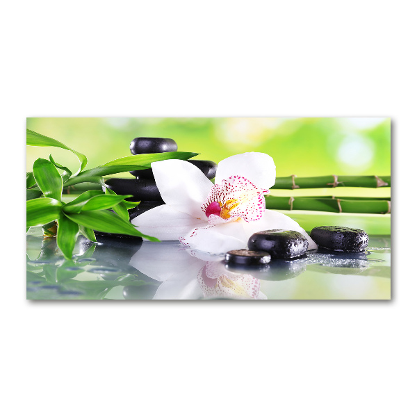 Quadro su vetro Orchidea