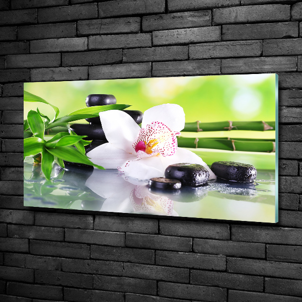 Quadro su vetro Orchidea