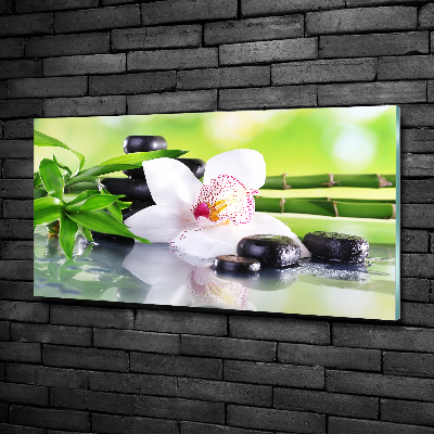 Quadro su vetro Orchidea