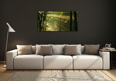 Quadro su vetro Foresta al sole