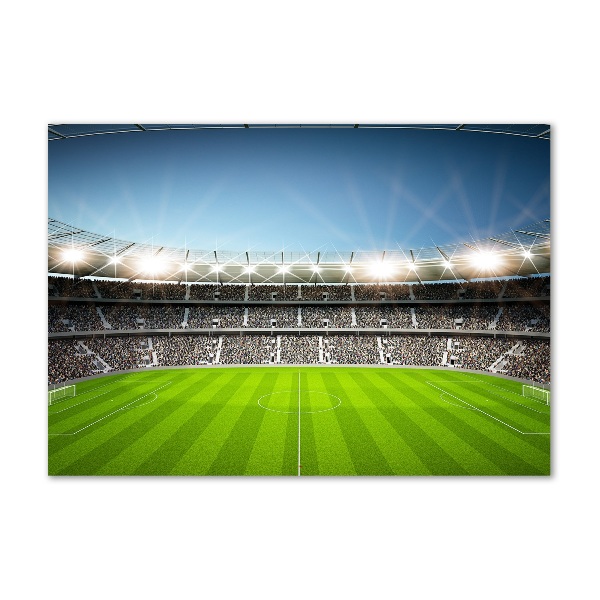 Quadro vetro Stadio