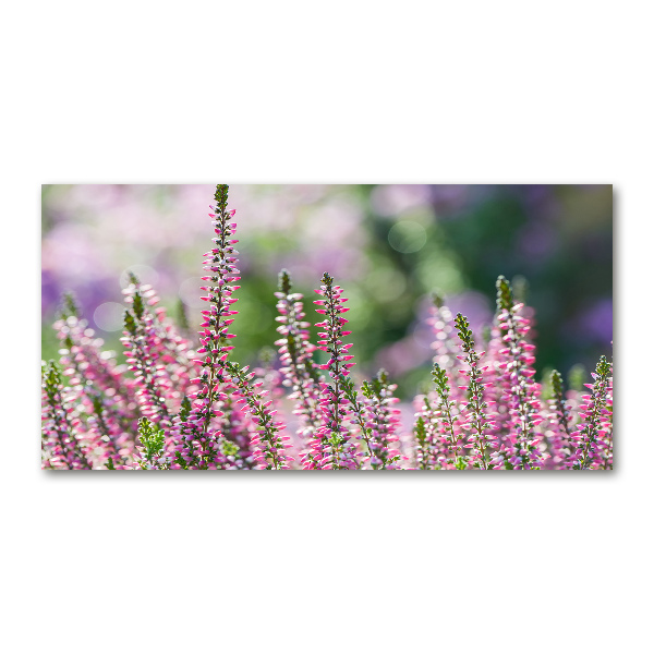 Quadro vetro Fiori di erica