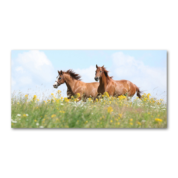 Quadro vetro Due cavalli al galoppo