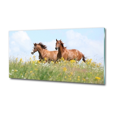 Quadro vetro Due cavalli al galoppo