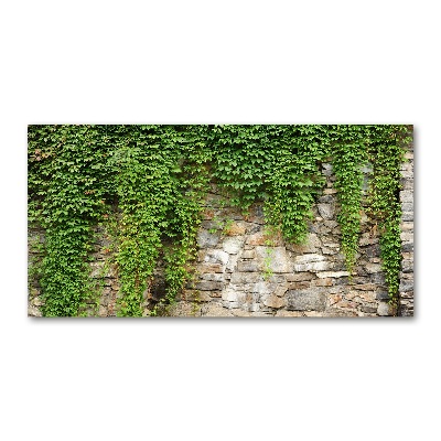 Quadro in vetro Edera verde