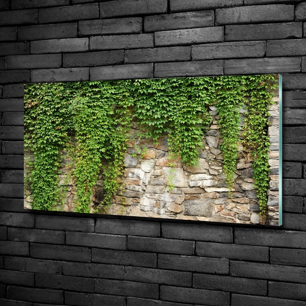 Quadro in vetro Edera verde