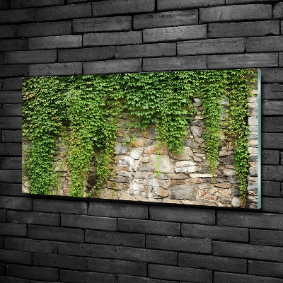 Quadro in vetro Edera verde