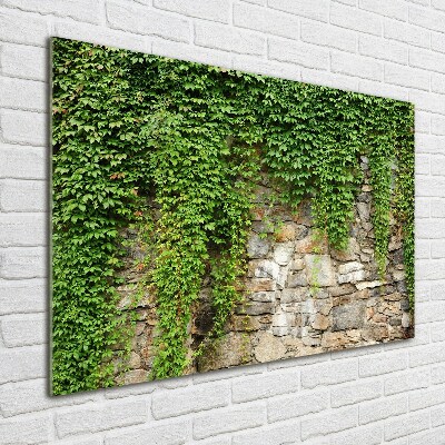 Quadro in vetro Edera verde
